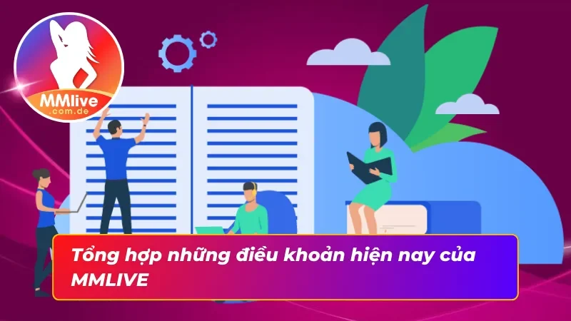 Tổng hợp những điều khoản và điều kiện hiện tại hệ thống